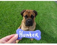 hunter picture